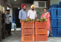 ਖਰਾਬ ਸਬਜ਼ੀਆਂ ਅਤੇ ਫ਼ਲਾਂ ਦੀ ਵਿਕਰੀ ਲਈ ਮੰਡੀ ਸੁਪਰਵਾਈਜਰਾਂ ਦੀ ਜਿੰਮੇਵਾਰੀ ਹੋਵੇਗੀ ਤੈਅ: ਪੰਨੂੰ ਖਰਾਬ ਸਬਜ਼ੀਆਂ ਅਤੇ ਫ਼ਲਾਂ ਦੀ ਵਿਕਰੀ ਲਈ ਮੰਡੀ ਸੁਪਰਵਾਈਜਰਾਂ ਦੀ ਜਿੰਮੇਵਾਰੀ ਹੋਵੇਗੀ ਤੈਅ: ਪੰਨੂੰ